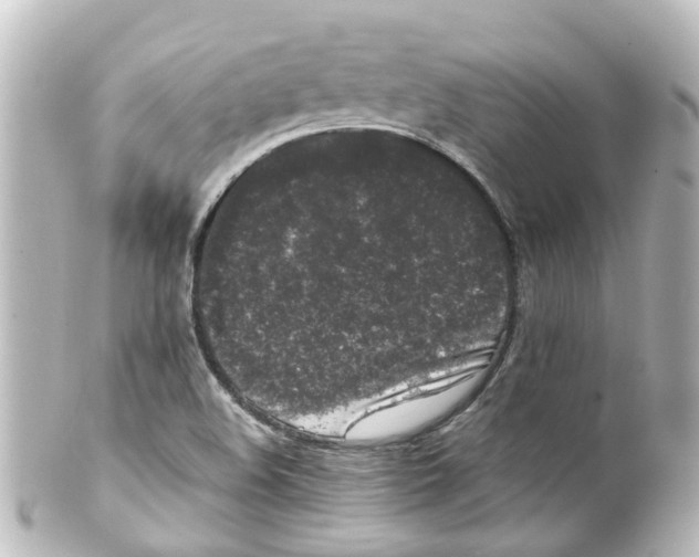 X0000100231508200806271738