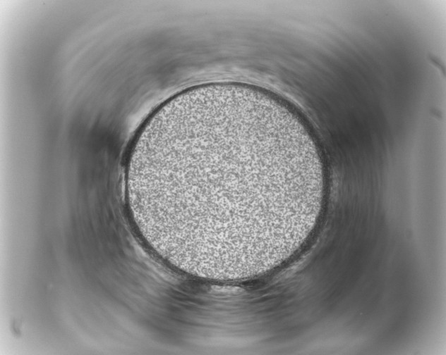 X0000100231509200806271738