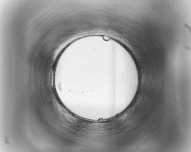 X0000100231510200806271738