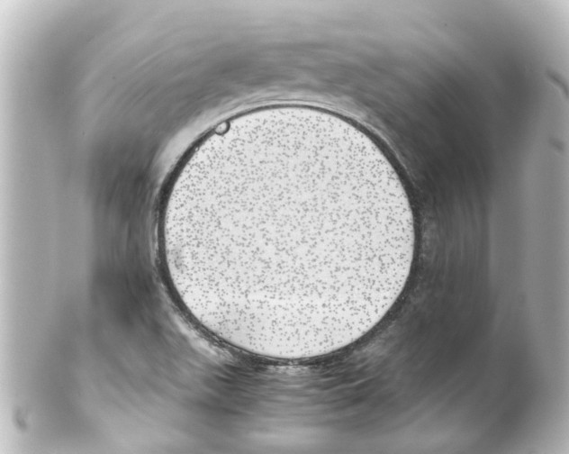X0000100231511200806271738