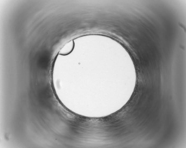 X0000100231512200806271738