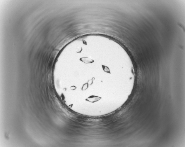 X0000100231513200806271738