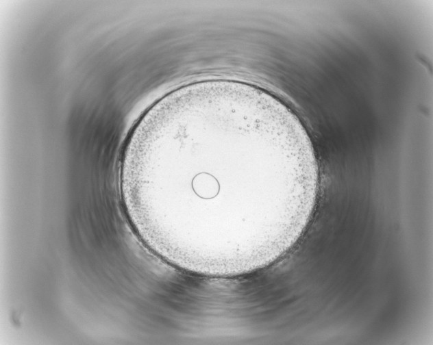X0000100231514200806271738
