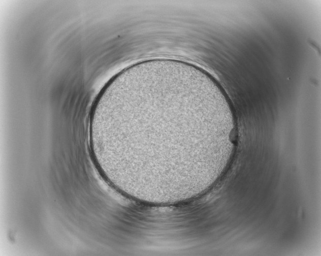 X0000100231515200806271738