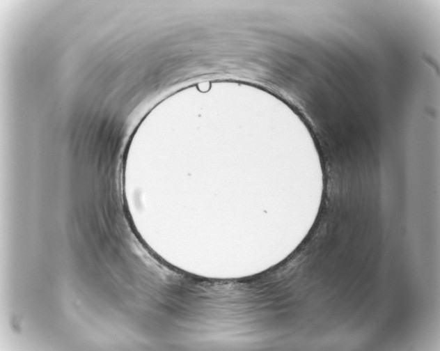 X0000100231516200806271738