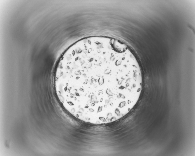 X0000100231517200806271738