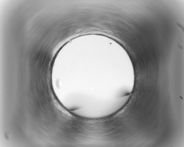 X0000100231518200806271738
