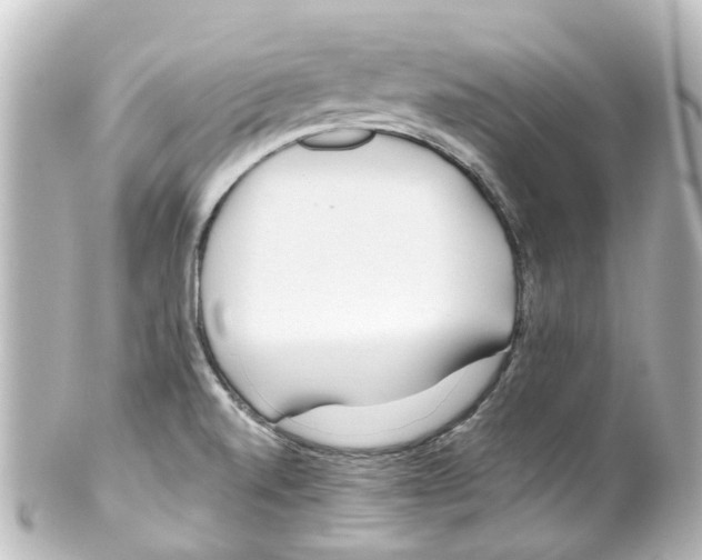X0000100231520200806271738