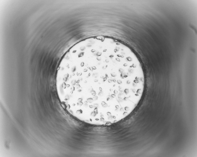 X0000100231521200806271738