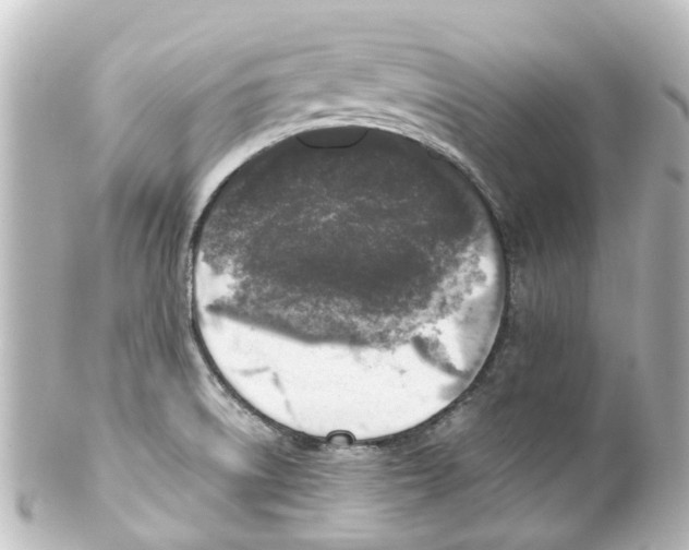 X0000100231522200806271738