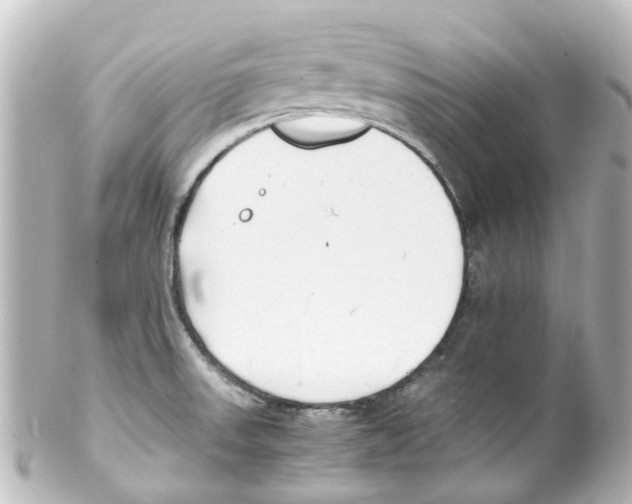 X0000100231523200806271738