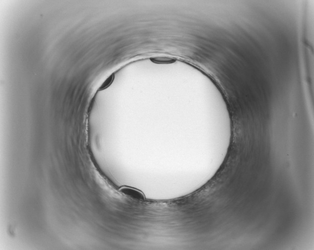 X0000100231524200806271738