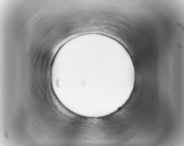 X0000100231526200806271738