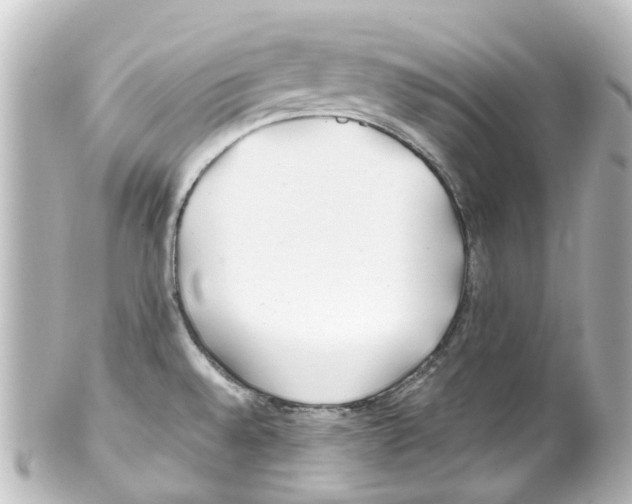 X0000100231528200806271738