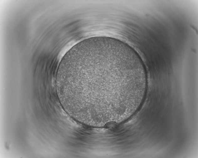 X0000100231529200806271738
