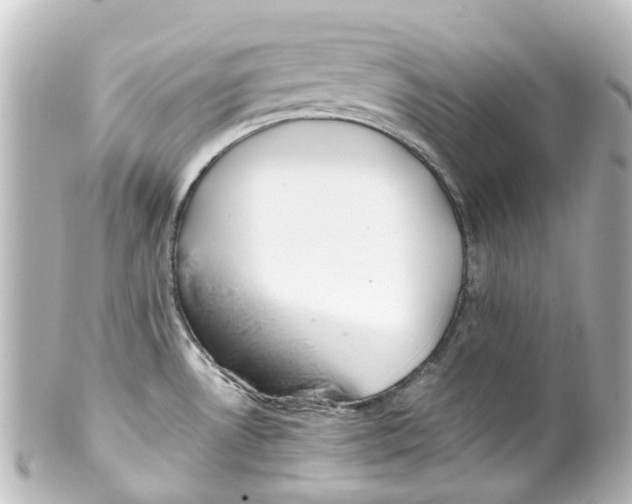 X0000100231530200806271738