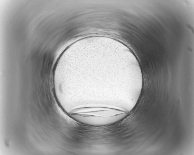 X0000100231531200806271738