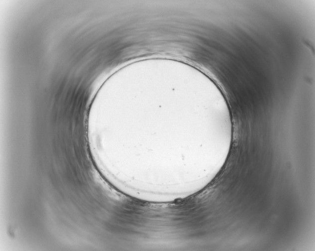 X0000100231532200806271738