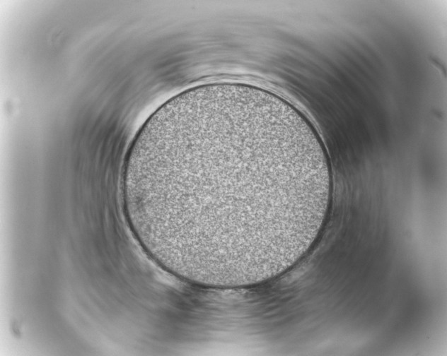 X0000100231533200806271738