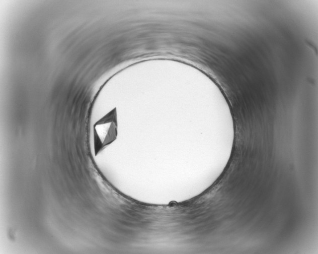 X0000100231534200806271738