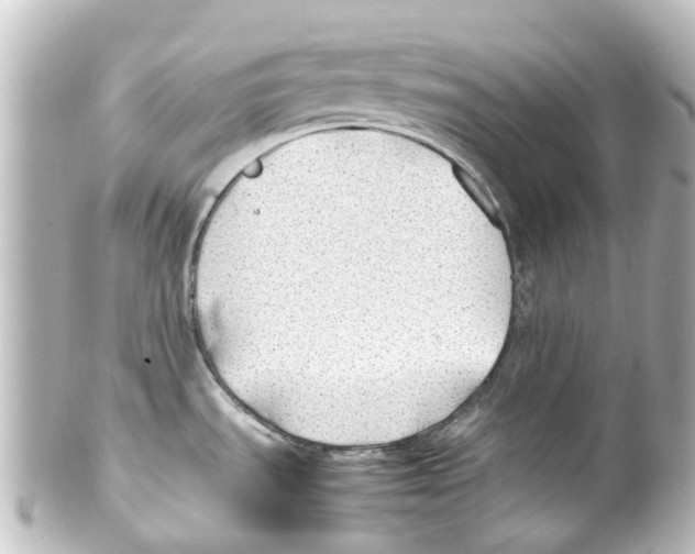 X0000100231535200806271738