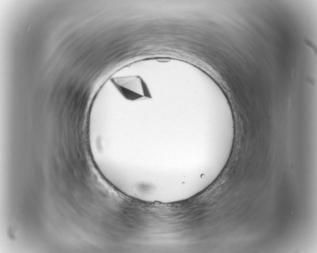 X0000100231536200806271738