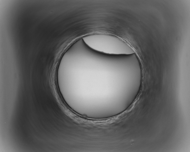 X0000100310001200806051338