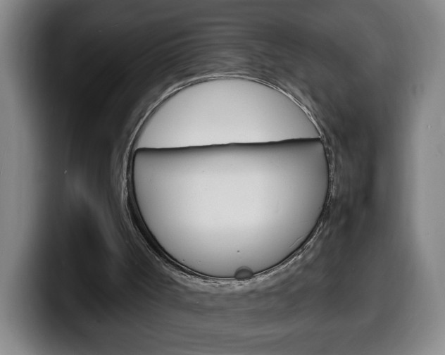 X0000100310002200806051338