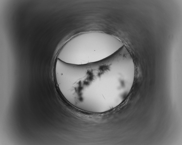X0000100310004200806051338