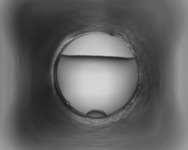 X0000100310006200806051338
