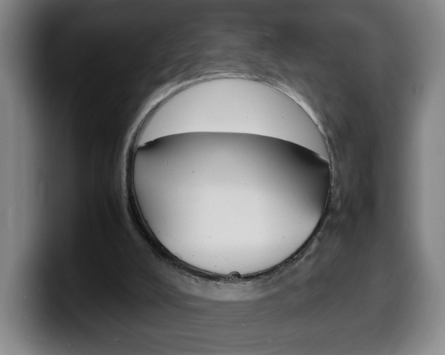 X0000100310008200806051338
