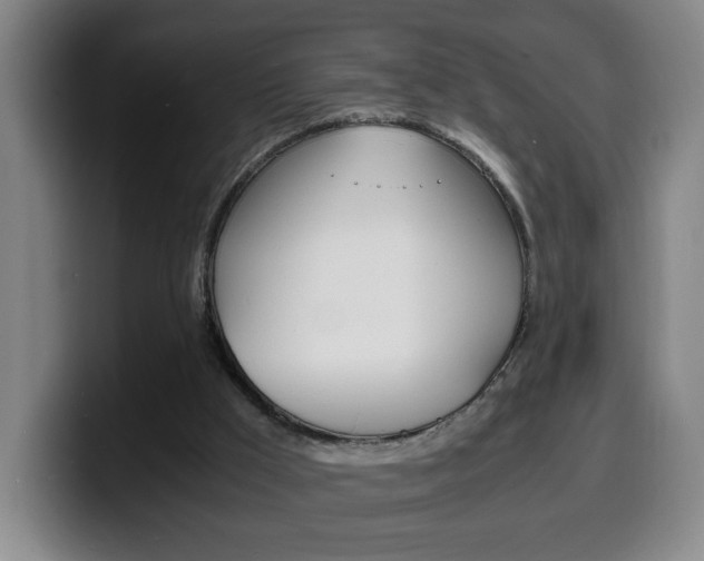 X0000100310009200806051338