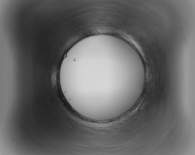 X0000100310010200806051338