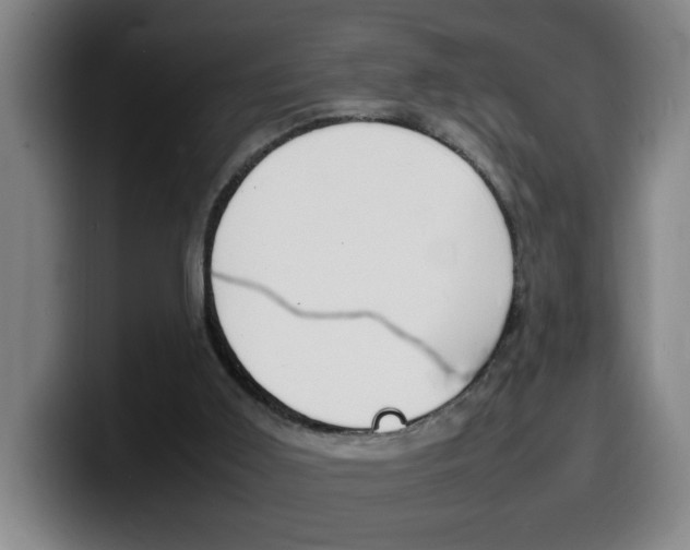 X0000100310011200806051338