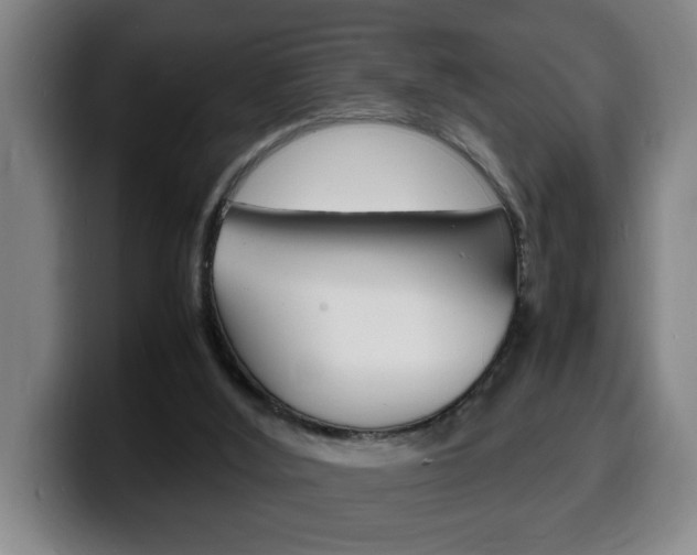 X0000100310012200806051338