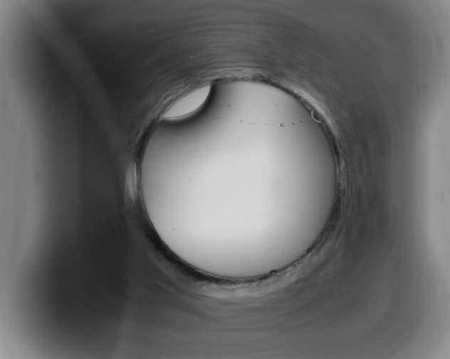 X0000100310013200806051338