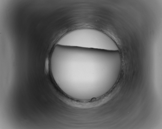 X0000100310014200806051338