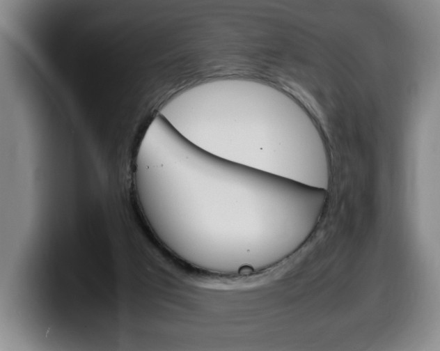 X0000100310017200806051338