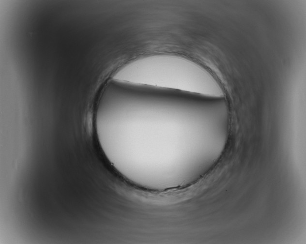X0000100310019200806051338