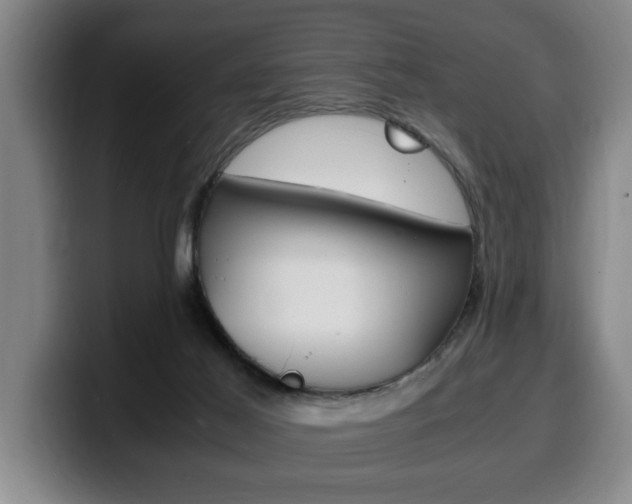 X0000100310021200806051338