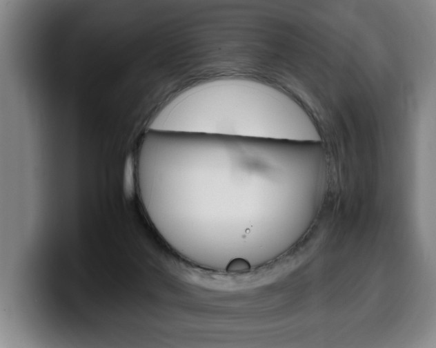 X0000100310022200806051338
