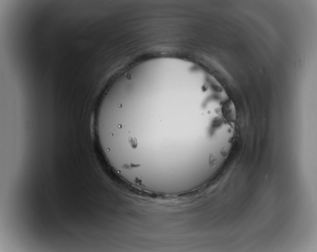 X0000100310024200806051338