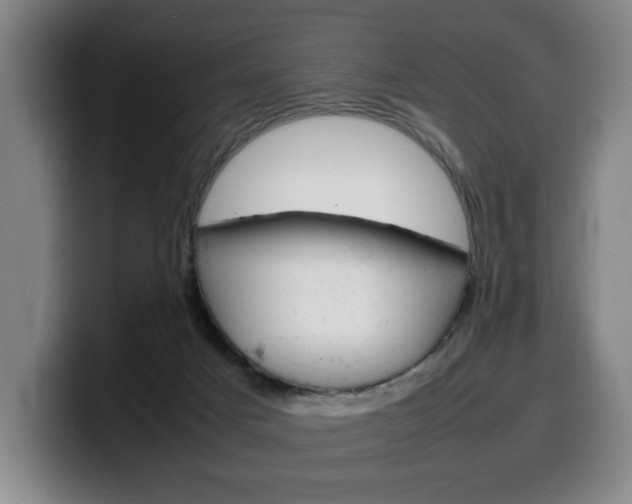 X0000100310025200806051338