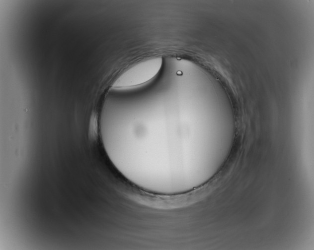 X0000100310027200806051338