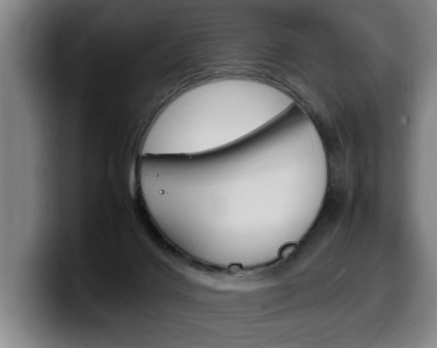 X0000100310028200806051338