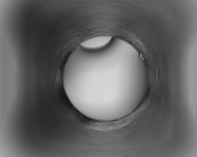 X0000100310029200806051338