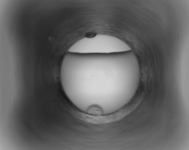 X0000100310034200806051338