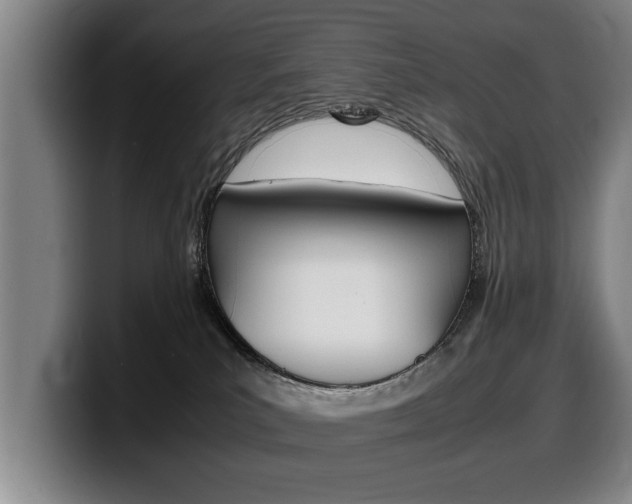 X0000100310039200806051338