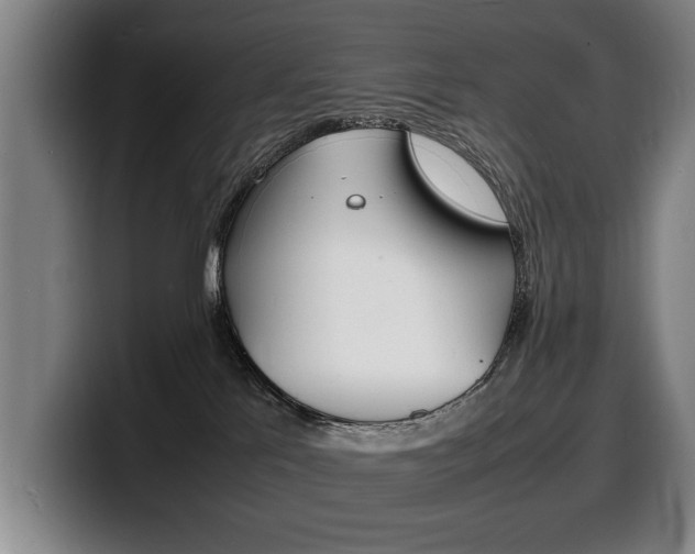 X0000100310041200806051338