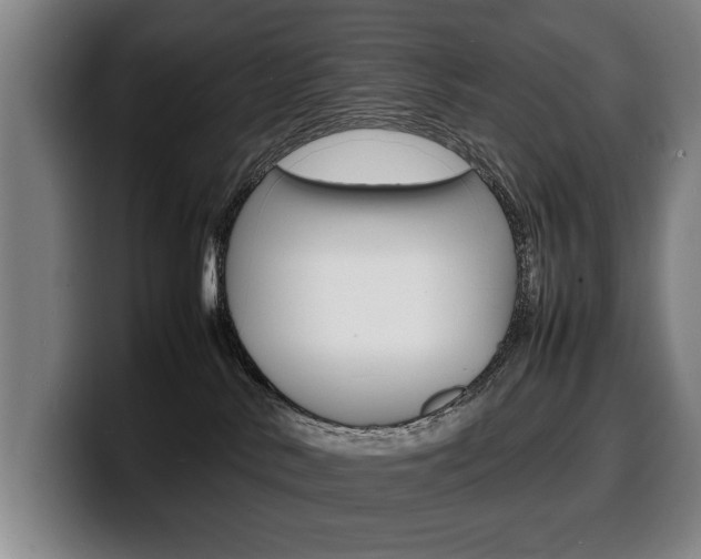 X0000100310042200806051338